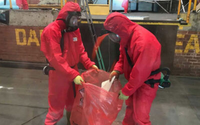 What is asbestos removal?