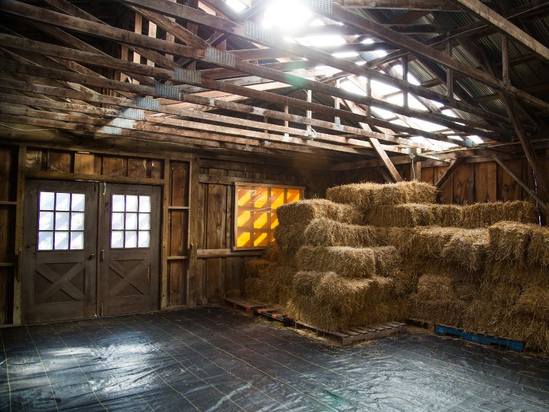 Anthrax Testing - Barn