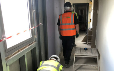 Understanding Asbestos Surveys