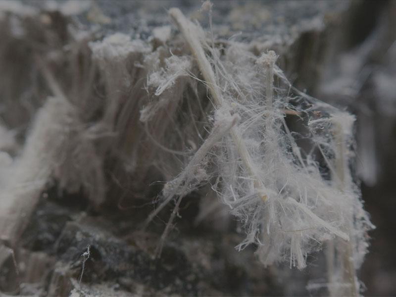 chrysotile white asbestos fibres